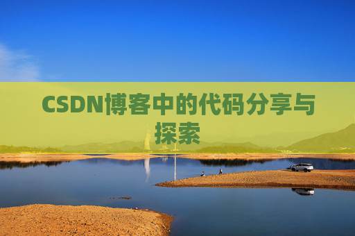 CSDN博客中的代码分享与探索